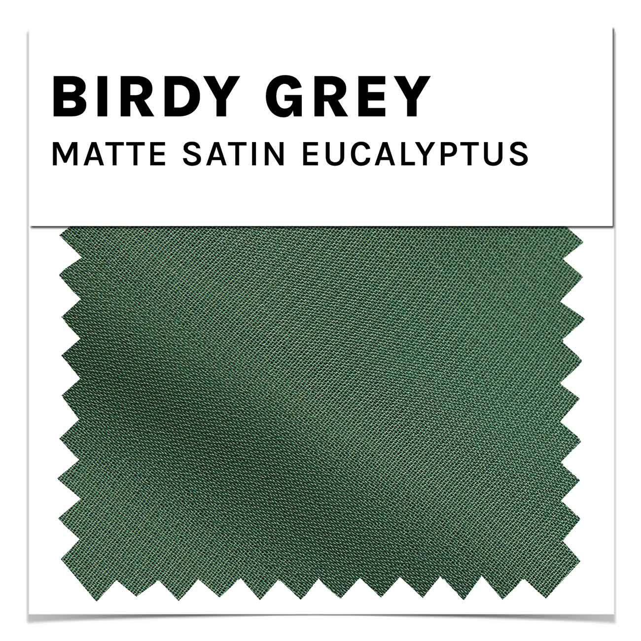 Birdy Grey, Dresses, Birdy Grey Bridesmaid Dress Fabric Color Swatches