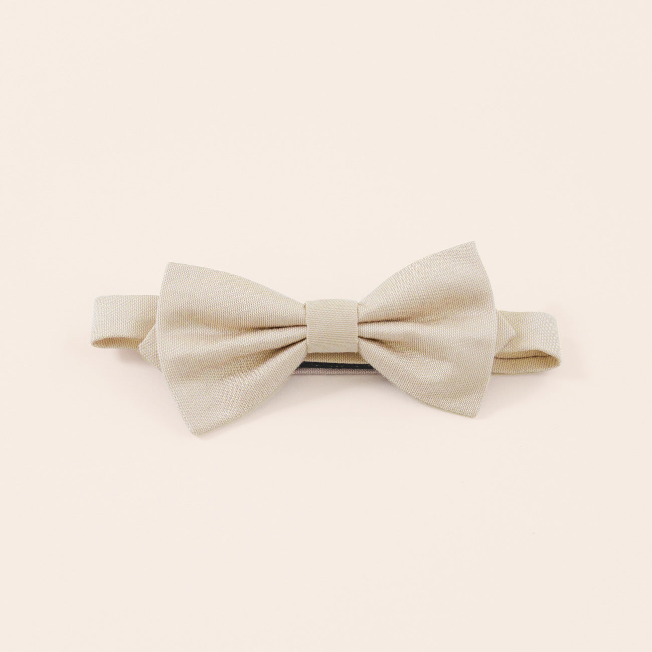 Toddler's Harry Bow Tie Neutral Champagne | Birdy Grey