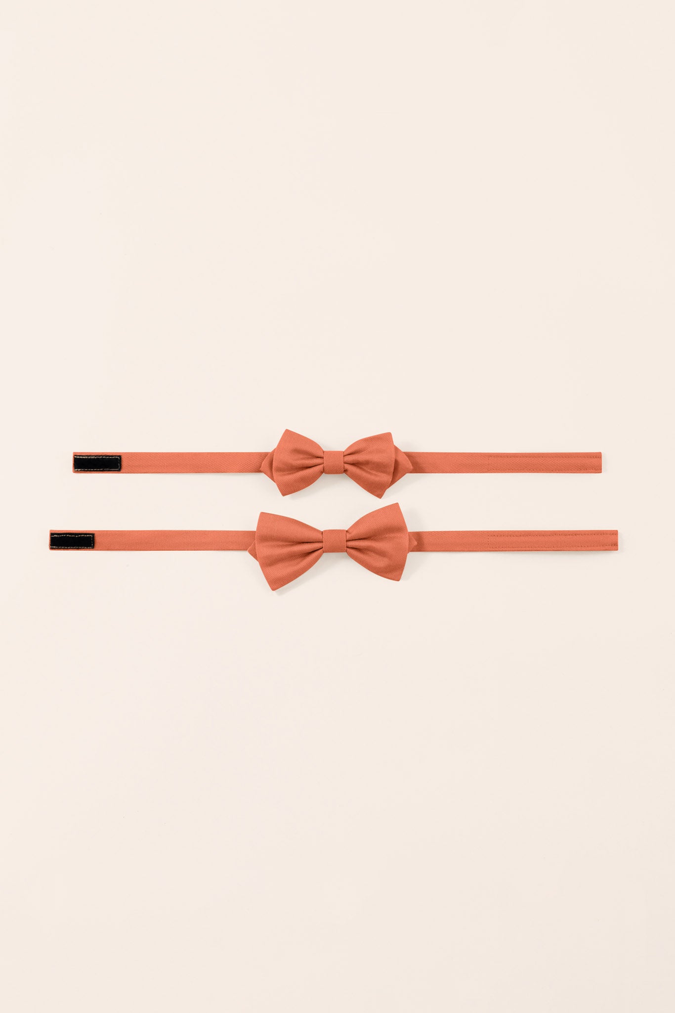 Apricot Harry Bow Tie by Birdy Grey