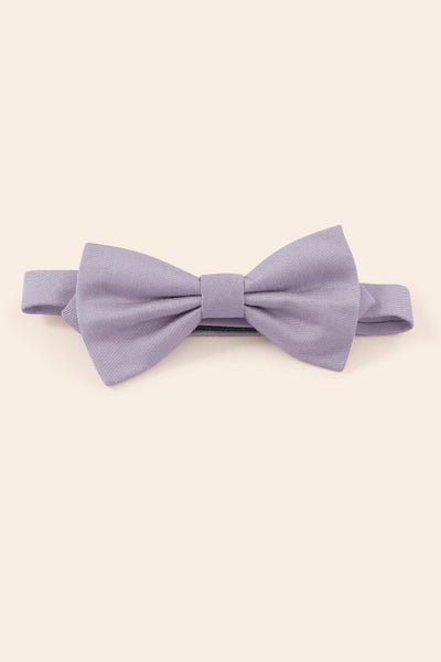 Harry Dusty Lilac Bow Tie By Birdy Grey