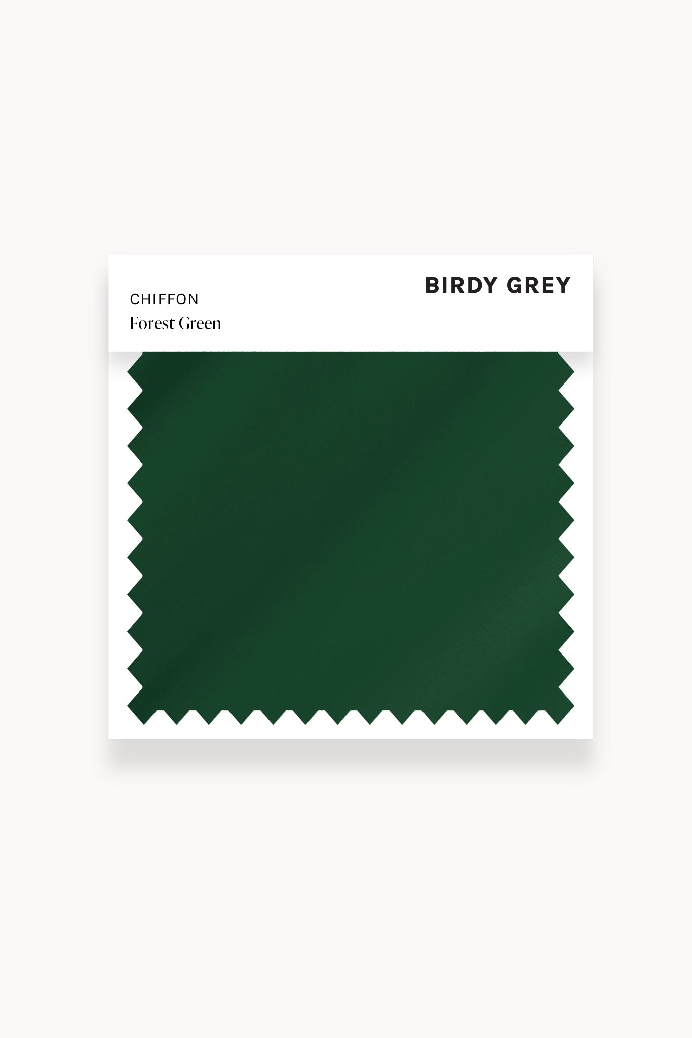 Chiffon Swatch in Forest Green by Birdy Grey