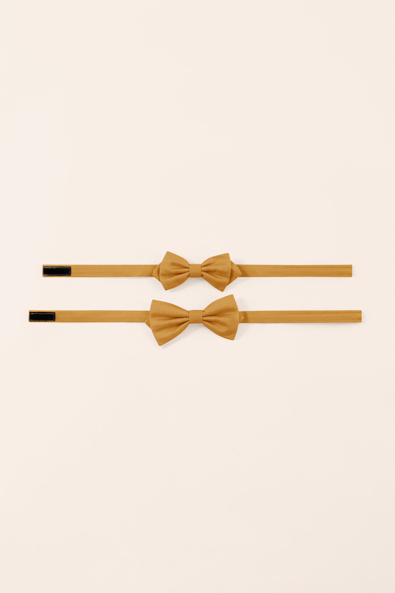 Marigold Harry Bow Tie by Birdy Grey