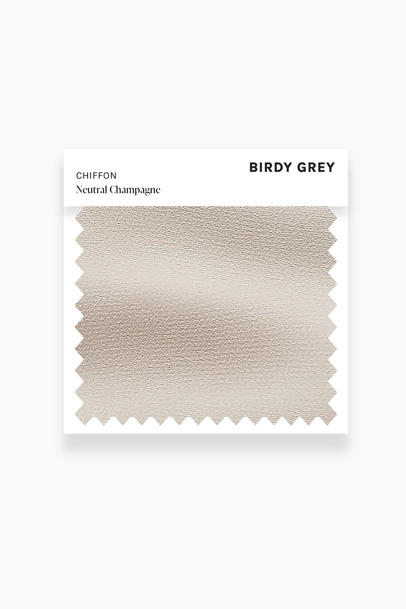 Neutral Champagne Chiffon Swatch by Birdy Grey