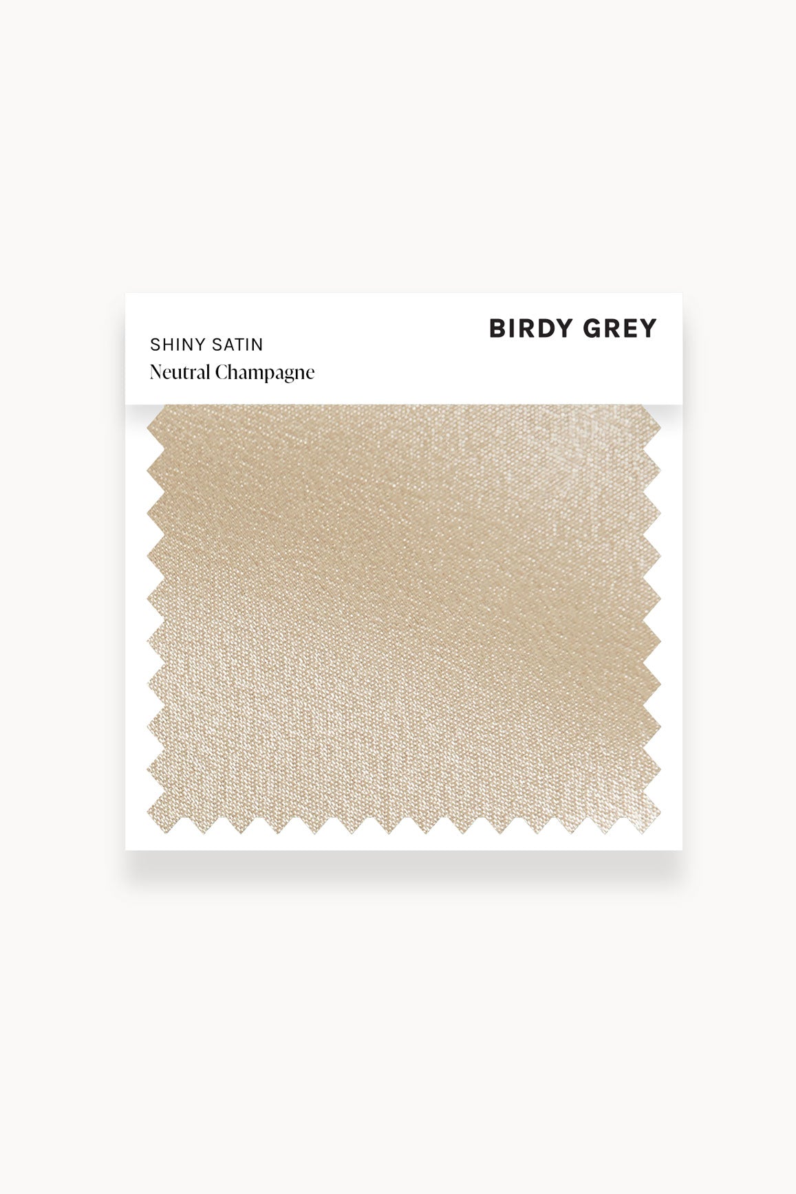 Neutral Champagne Shiny Satin Swatch by Birdy Grey