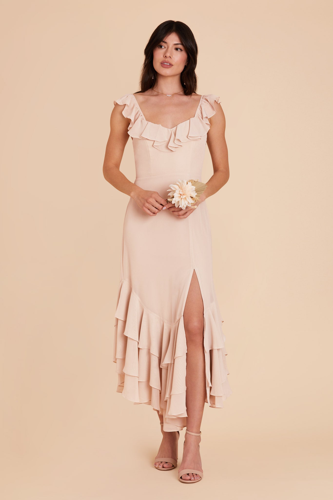 Pale Blush Ginny Chiffon Dress by Birdy Grey