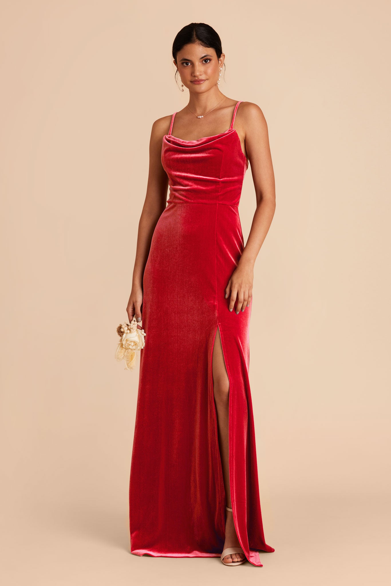 Ruby Red Ash Velvet Dress by Birdy Grey