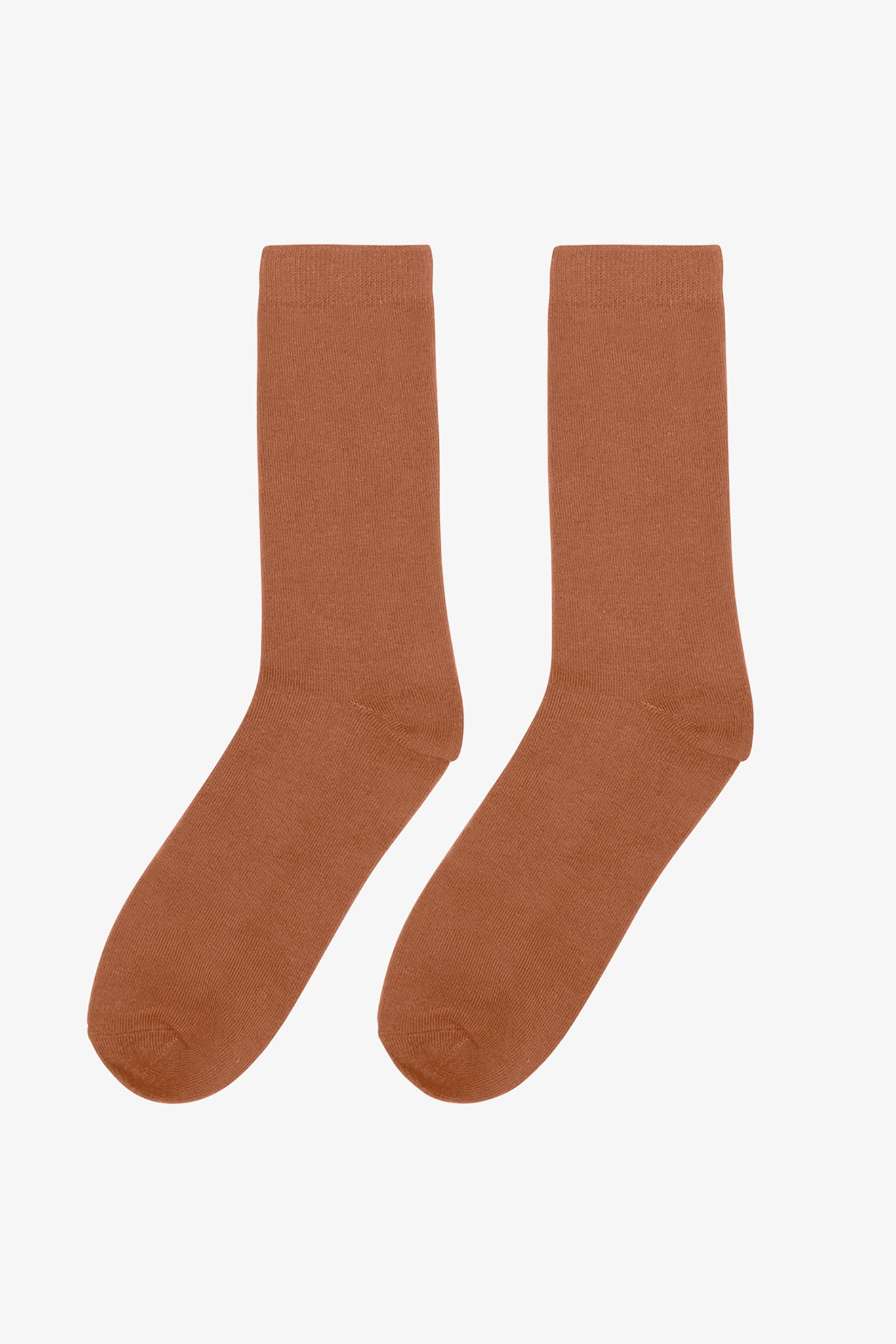 Rust Groomsmen Socks by Birdy Grey