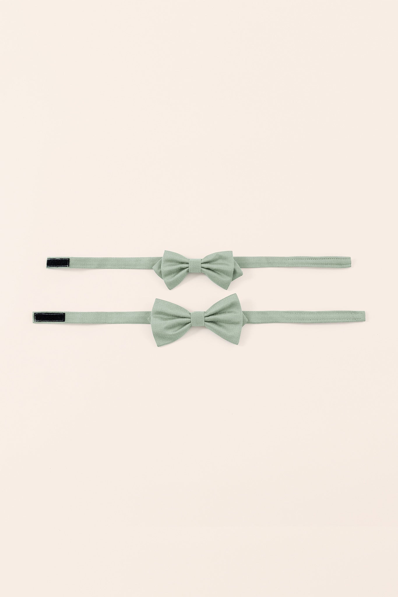 Sage Harry Bow Tie by Birdy Grey