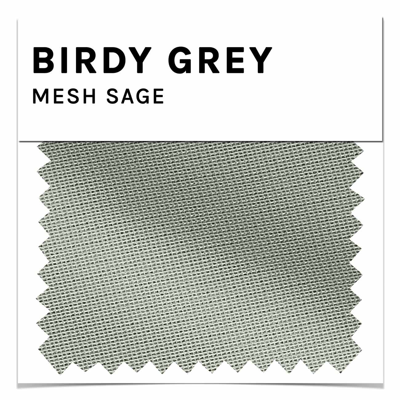 Birdy Grey Swatches