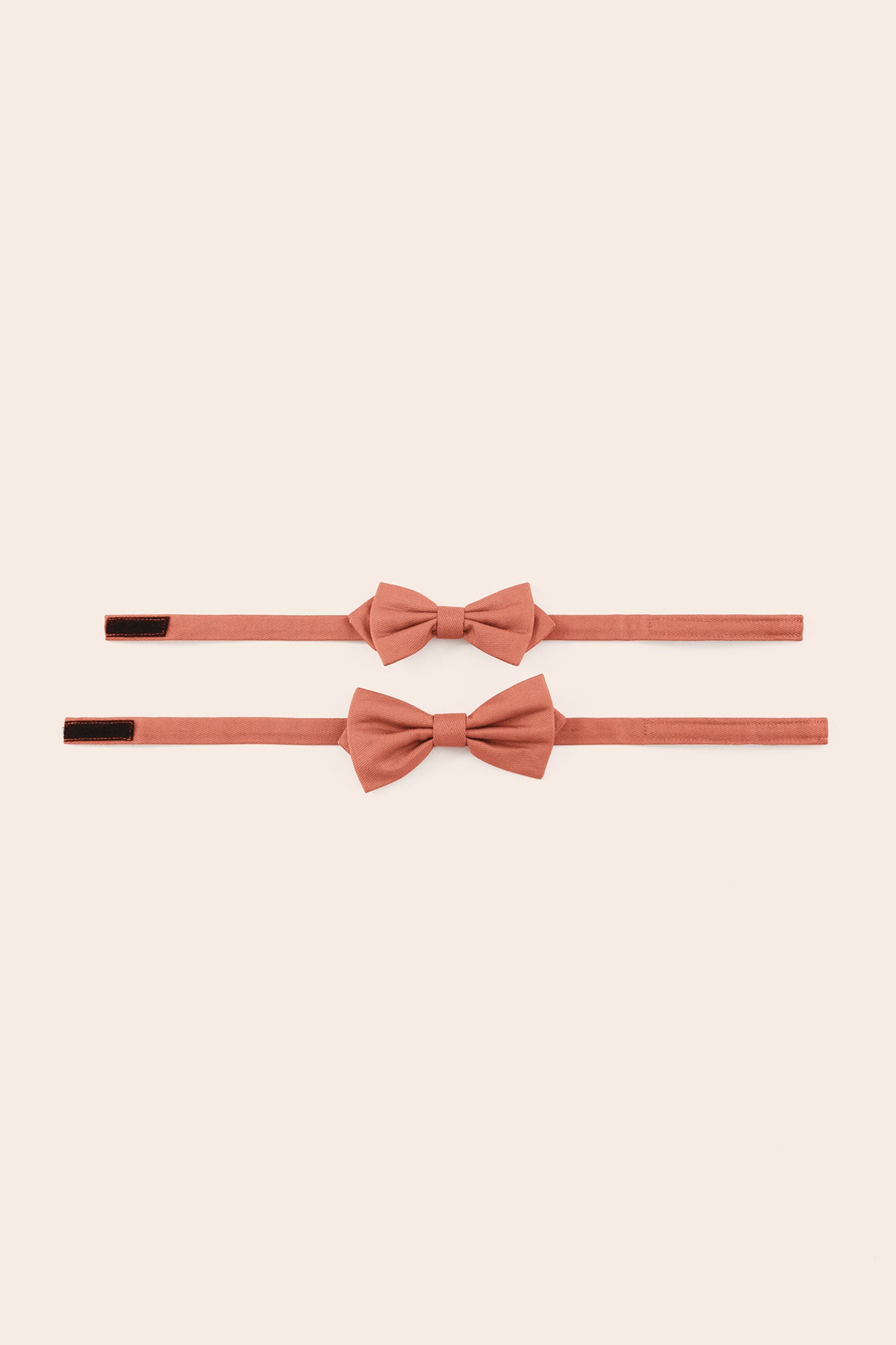 Harry Bow Tie - Terracotta