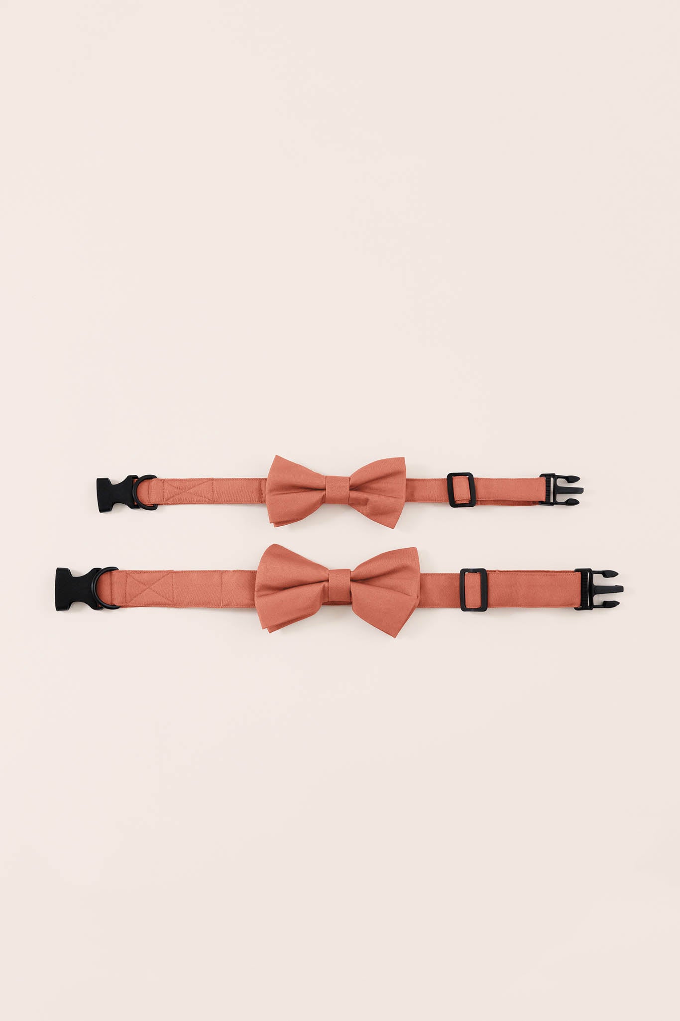 Terracotta Sadie Dog Bow Tie Collar by Birdy Grey